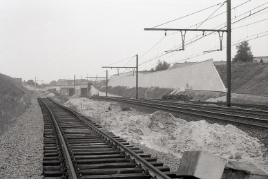 Haren - MZ19204.jpg